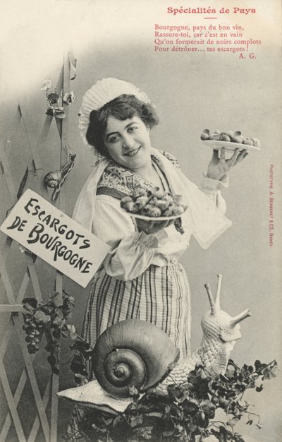Escargots de Bourgogne da French Photographer